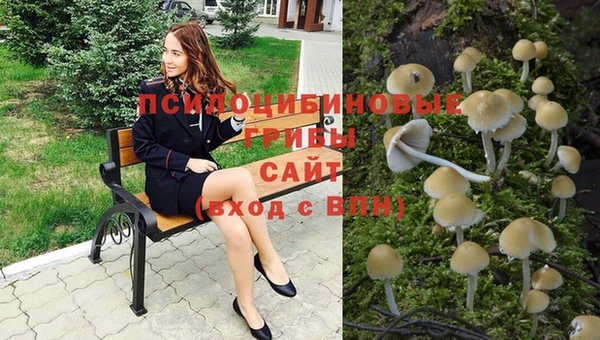 спайс Белокуриха