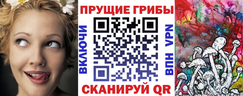 продажа наркотиков  Брюховецкая  Галлюциногенные грибы GOLDEN TEACHER 